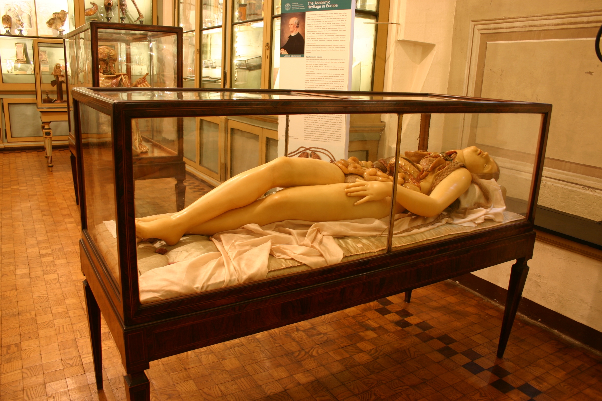 Young woman wax model (1795) by Clemente Susini, Museo per la Storia dell'Università, Pavia.JPG